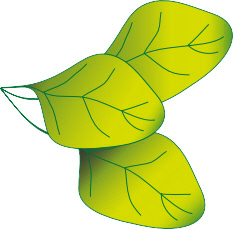 Leafy logo.